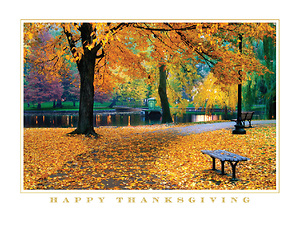 Thanksgiving Park Scene